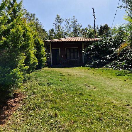 Athena Homestay Somvārpet エクステリア 写真