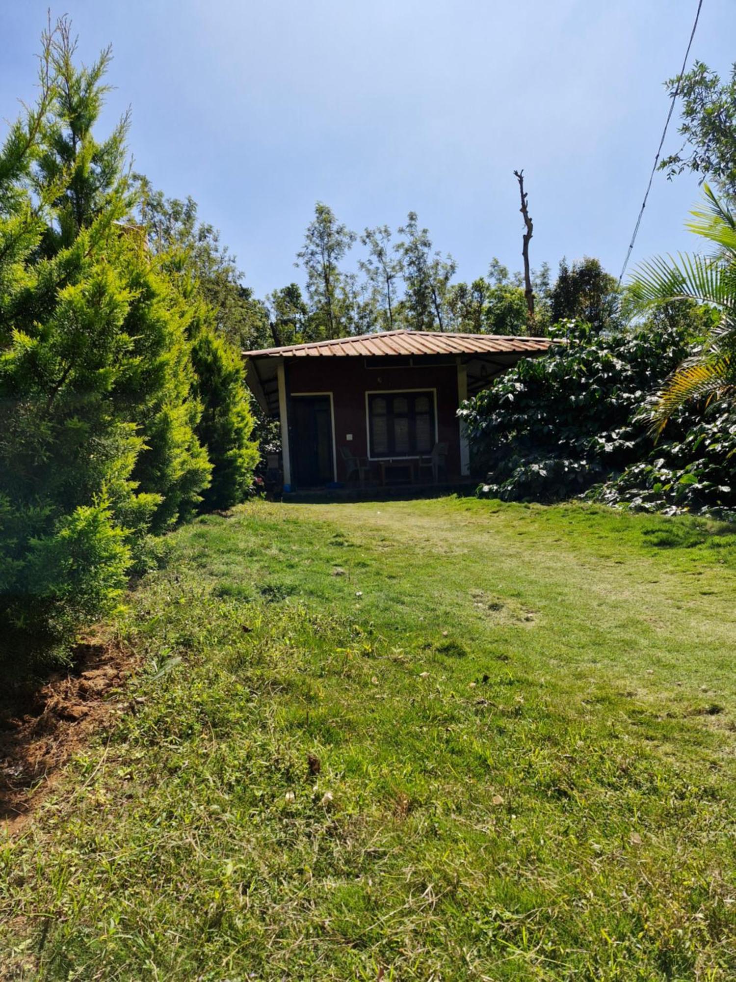 Athena Homestay Somvārpet エクステリア 写真
