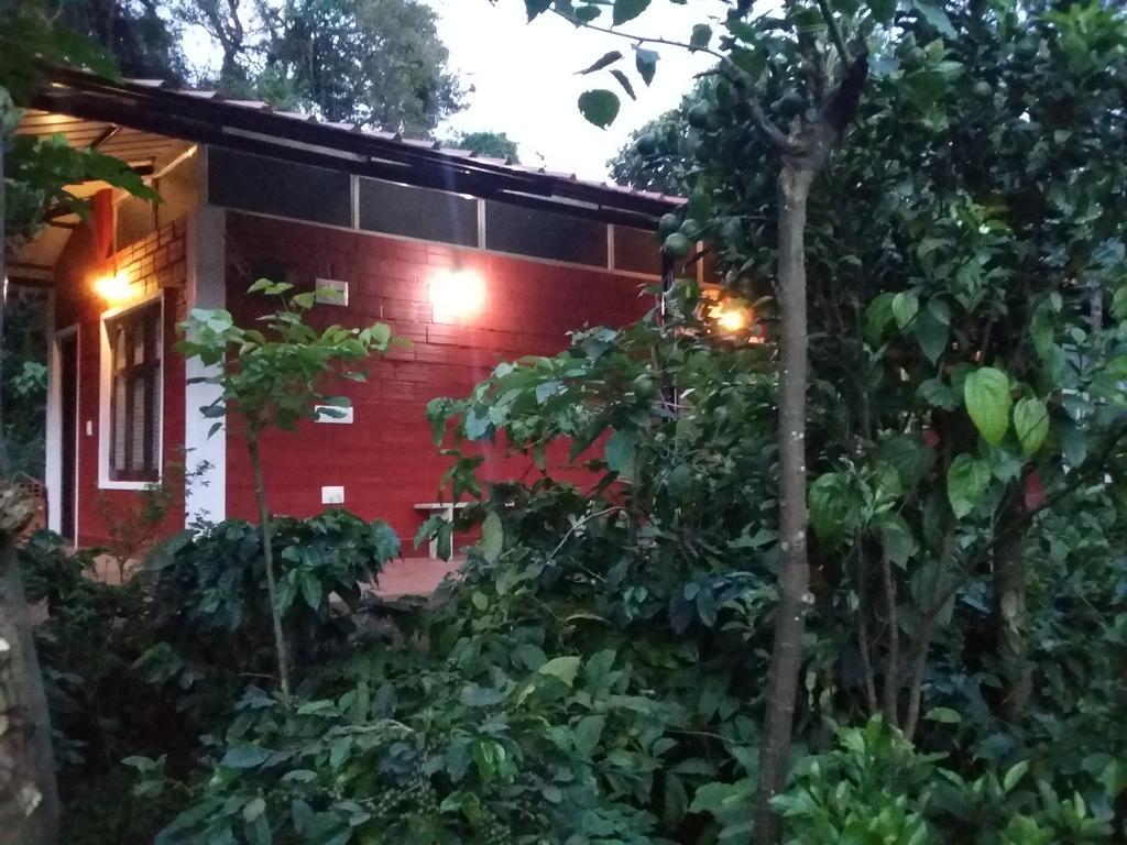 Athena Homestay Somvārpet エクステリア 写真